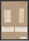 Navicula sp. (de-Toni-Nr.: Genus 1) Zeichnungen Sammlung Grunow Nr. 1512 (NHMW-BOT-W0368034)